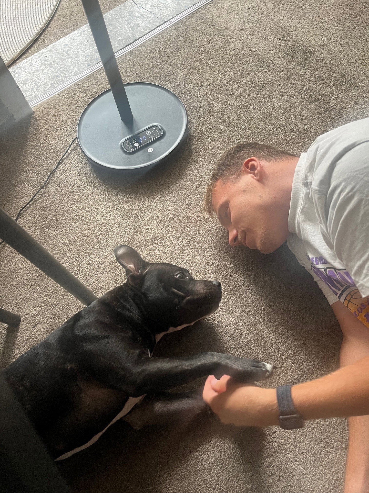 Manou, pet sitter in Utrecht, photo 5