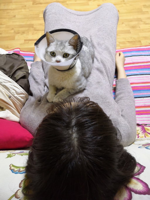 Yushan, pet sitter in Delft, photo 2