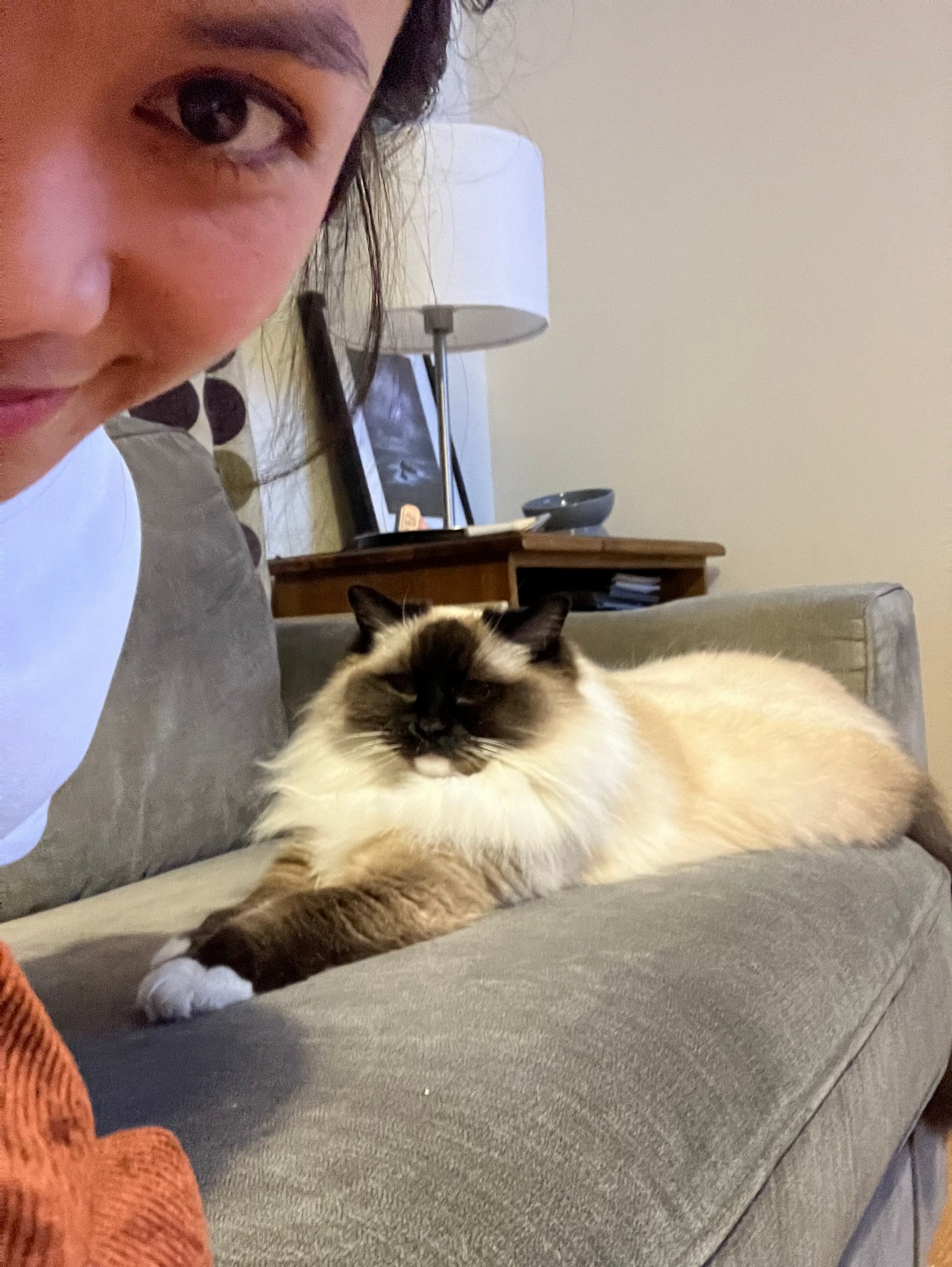 Liezl, pet sitter in Hilversum, photo 4