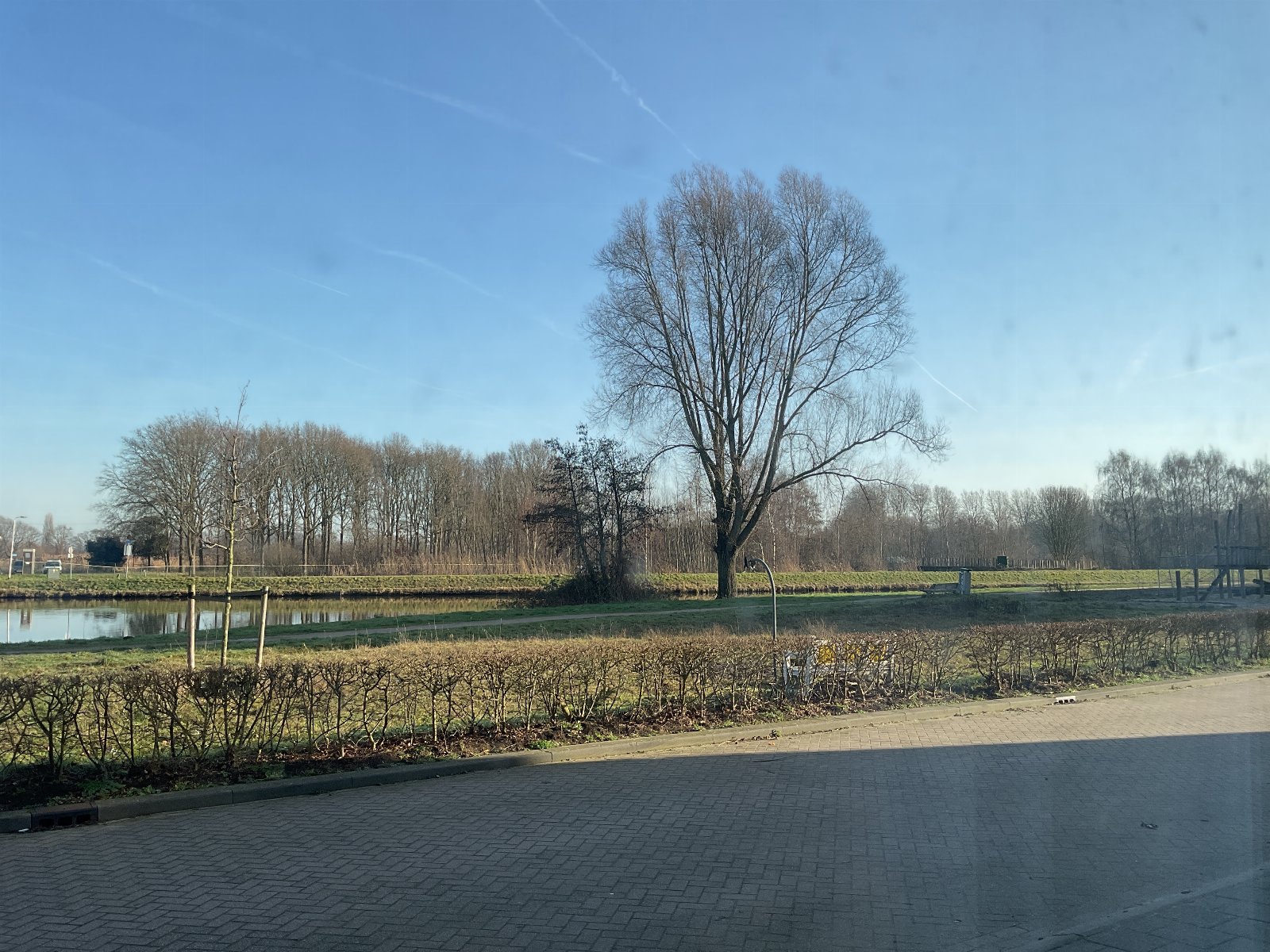 Claar, pet sitter in Tilburg, photo 1