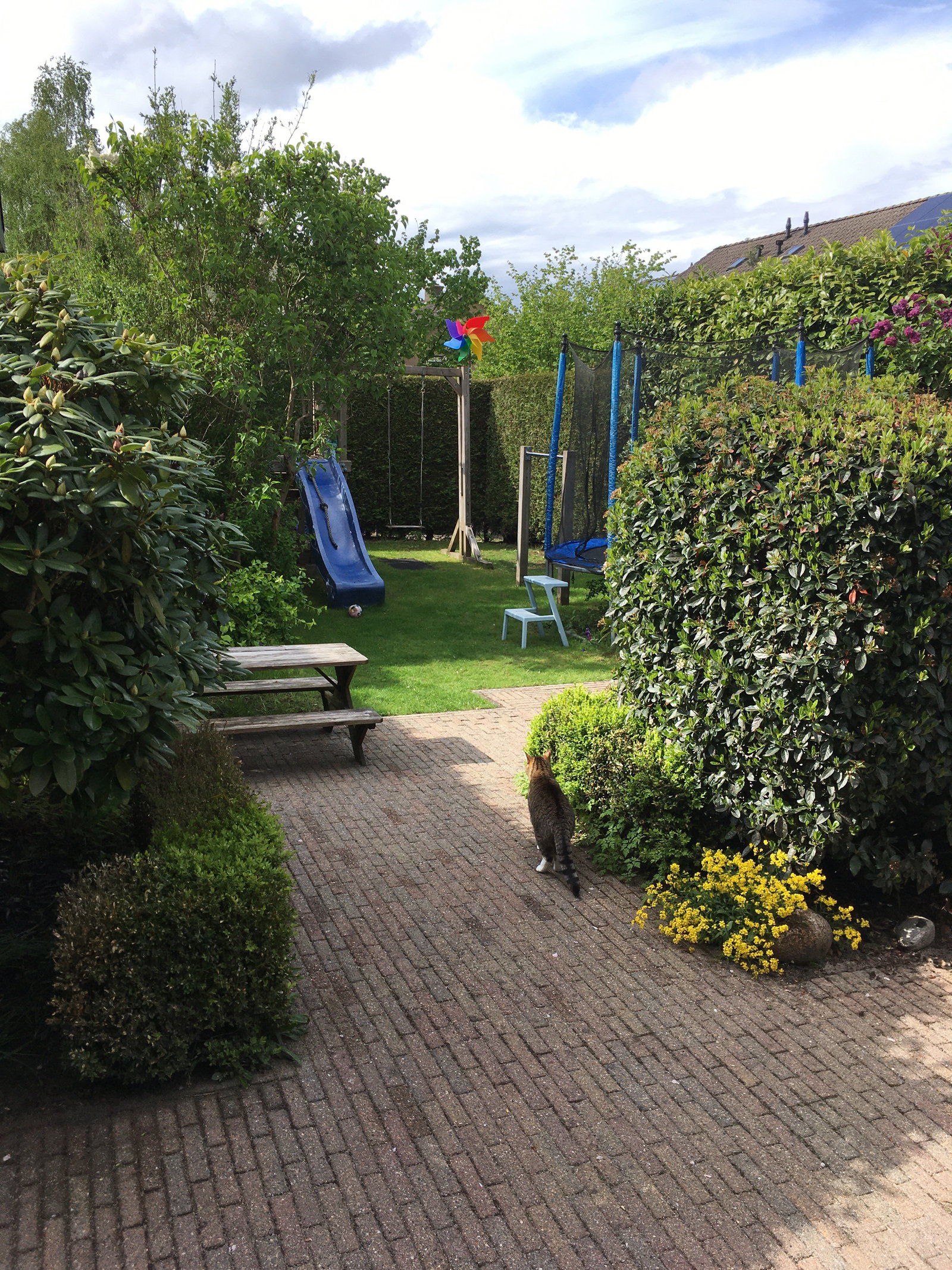 Wietske, pet sitter in Ermelo, photo 3