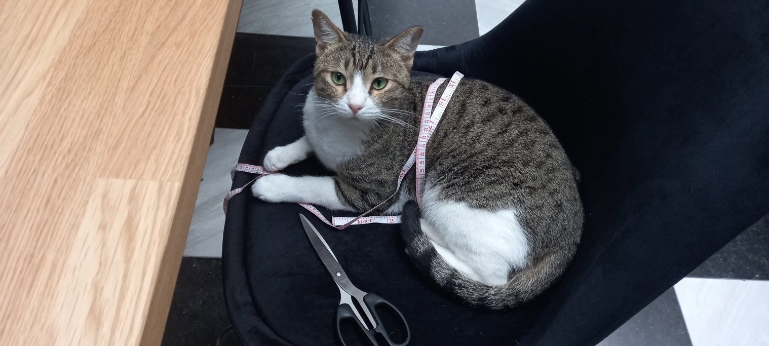 Linda, pet sitter in Maastricht, photo 5