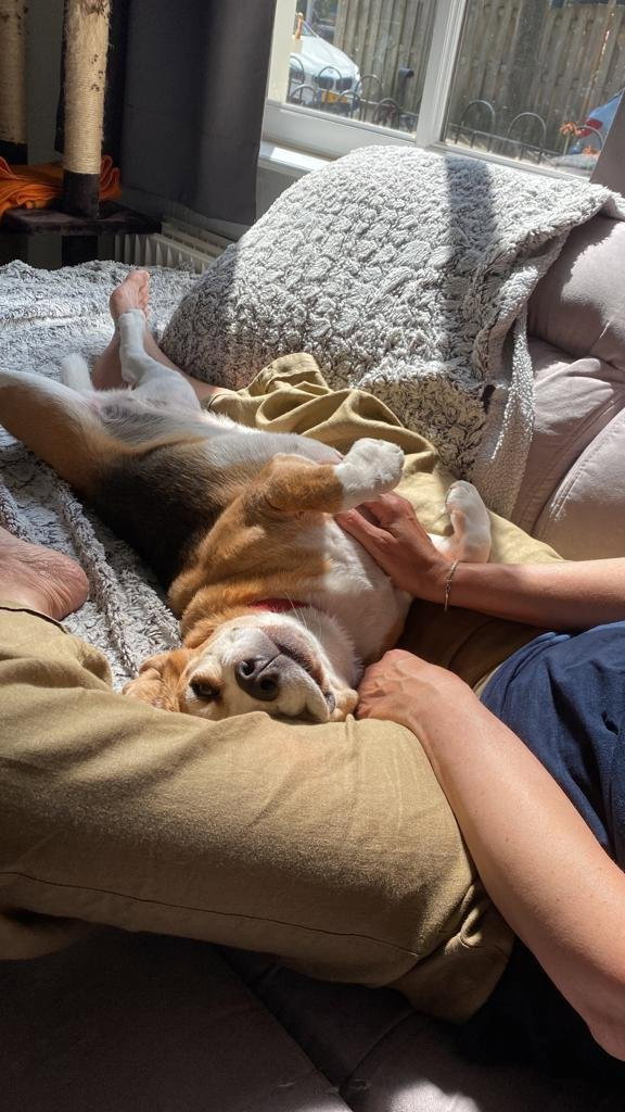 Olena, pet sitter in Amsterdam, photo 2