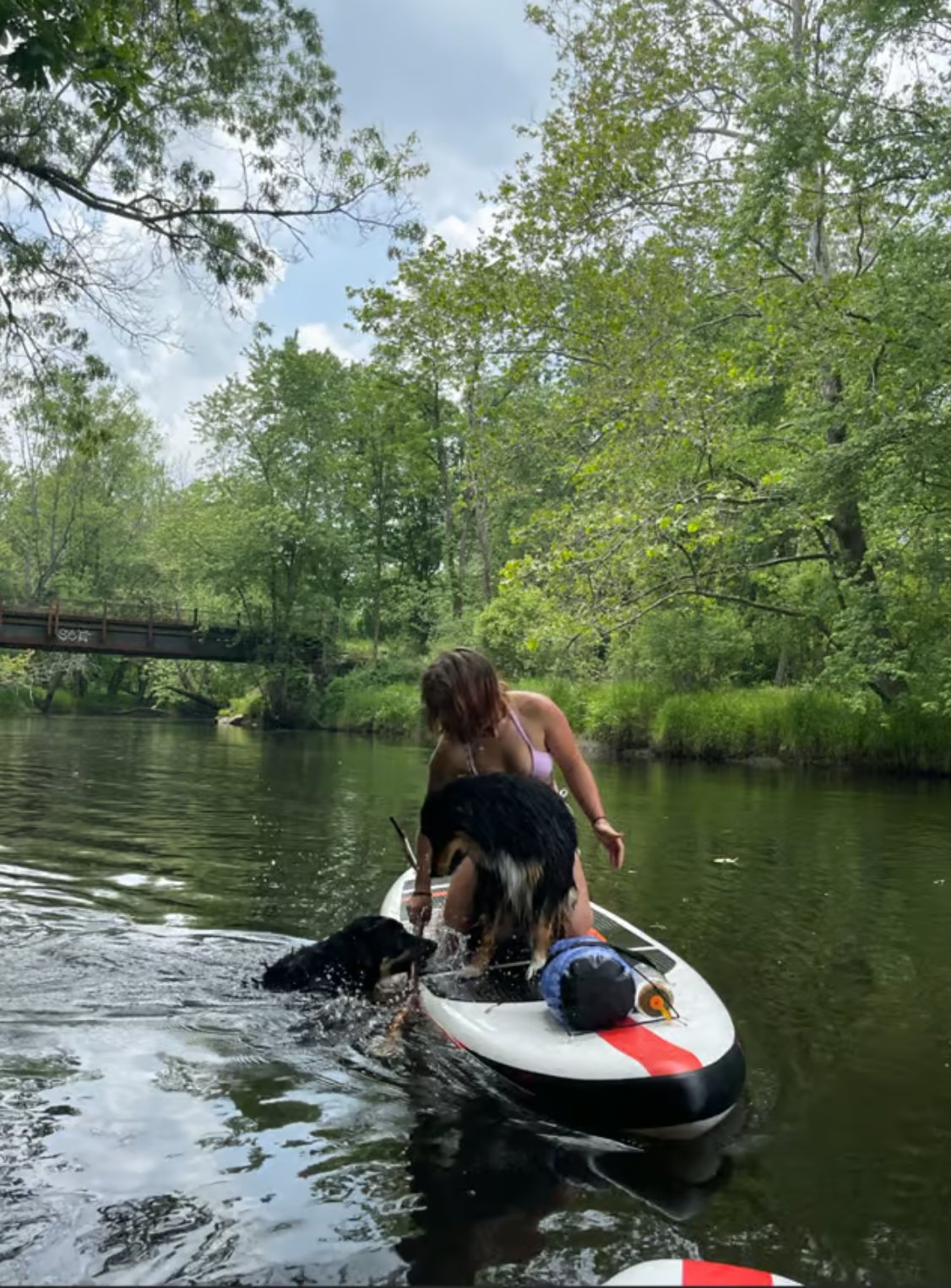 Emma, pet sitter in Breda, photo 1