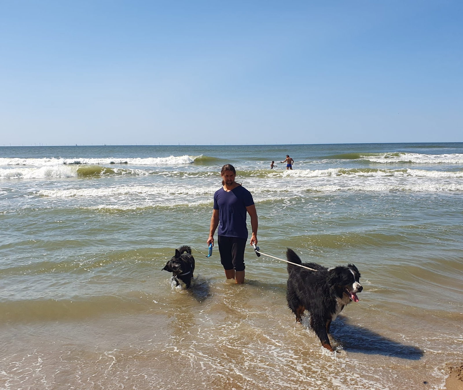 Vince, dierenoppas in Alphen aan den Rijn, foto 1