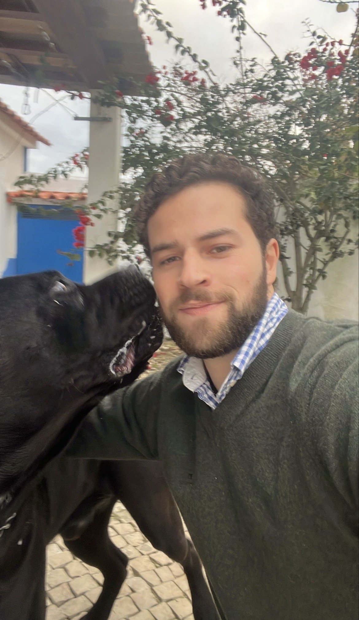 Miguel, pet sitter in Malden, photo 1