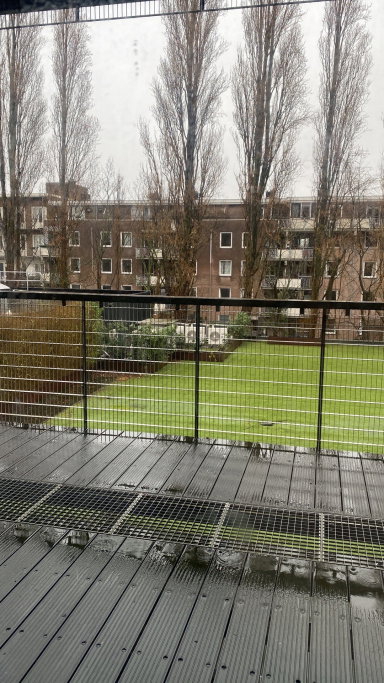 Alba, pet sitter in Amsterdam, photo 3