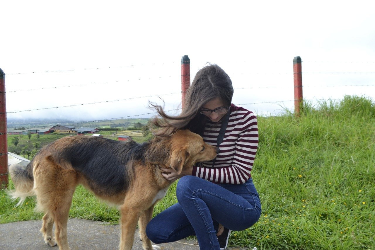 LIZZIE, pet sitter in 's-Gravenzande, photo 3