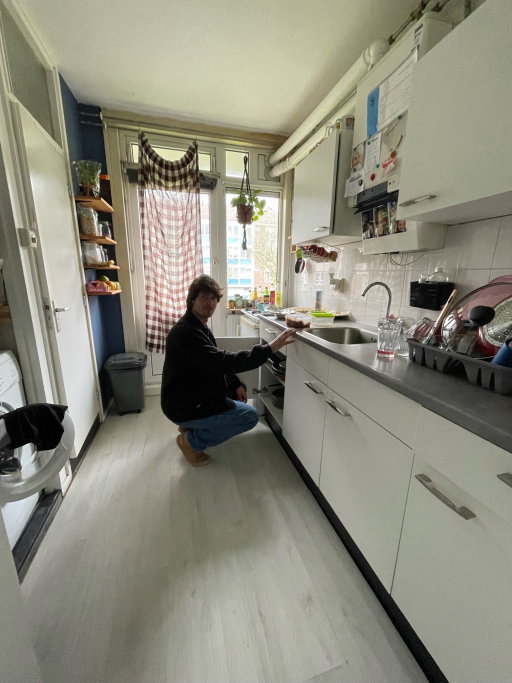 suus, pet sitter in Beverwijk, photo 2