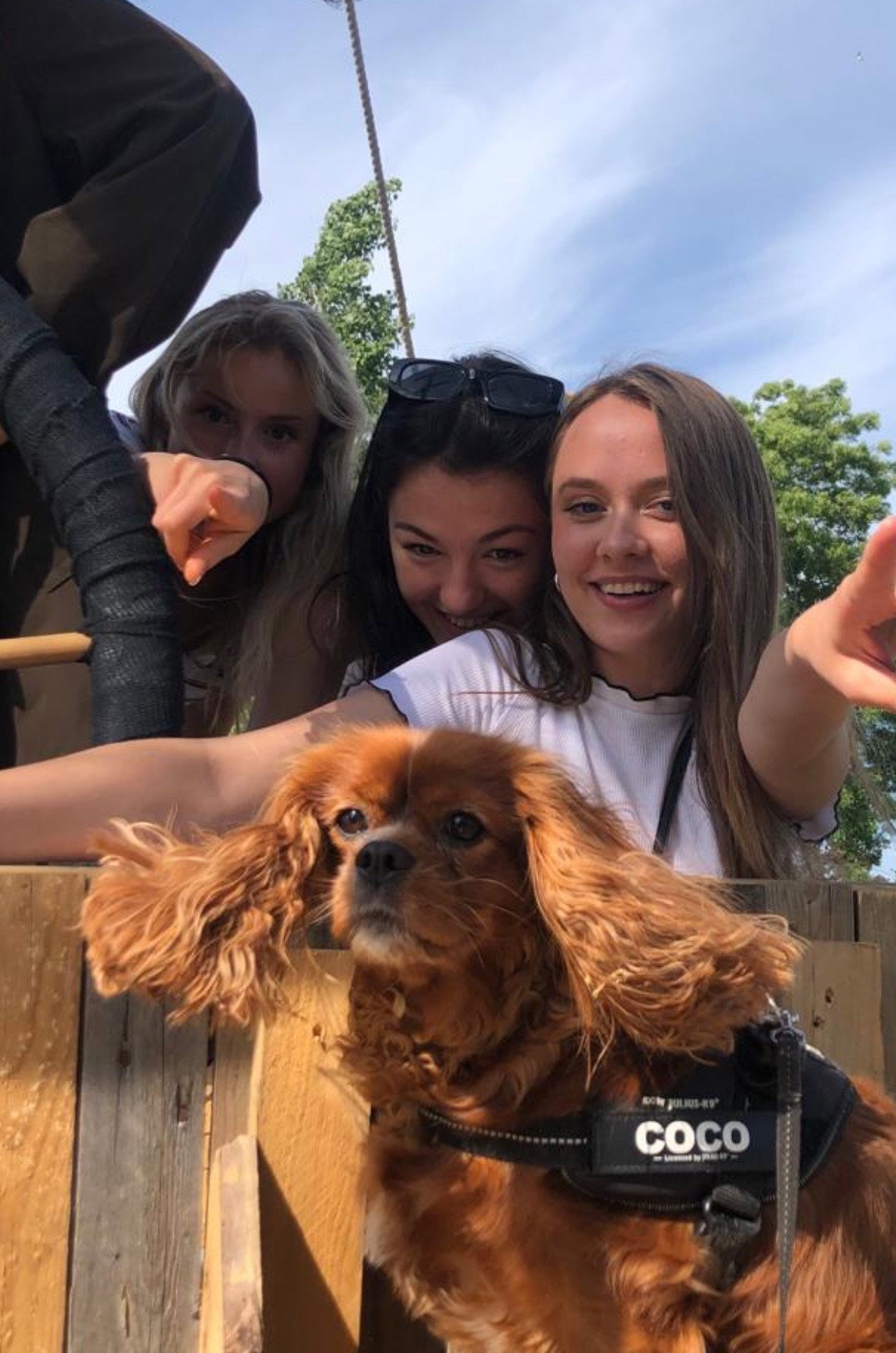 Núria, pet sitter in Amsterdam, photo 3