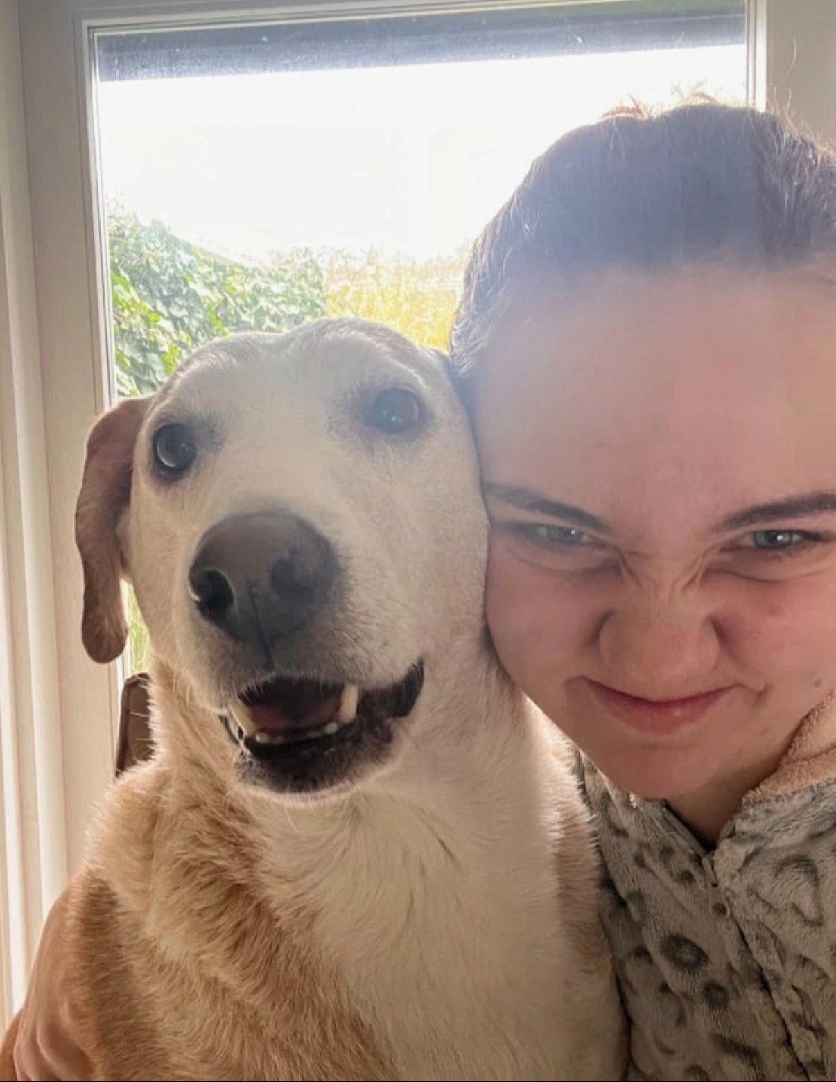 Mariia, pet sitter in Diemen, photo 5