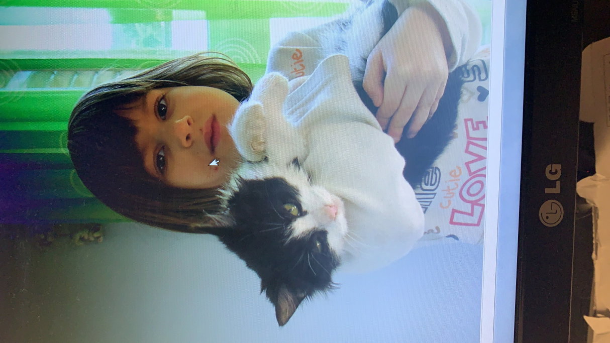 Iva, pet sitter in Amsterdam , photo 4