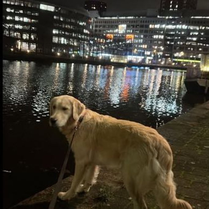Iza Vie, pet sitter in 's-Gravenhage, photo 5