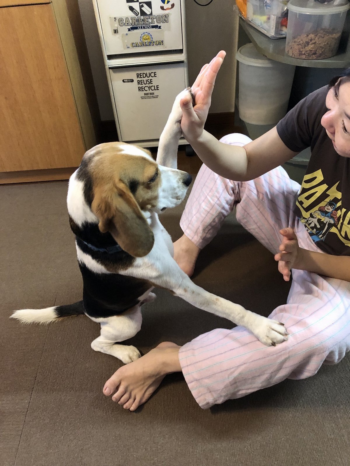 Asako, pet sitter in Delft, photo 4