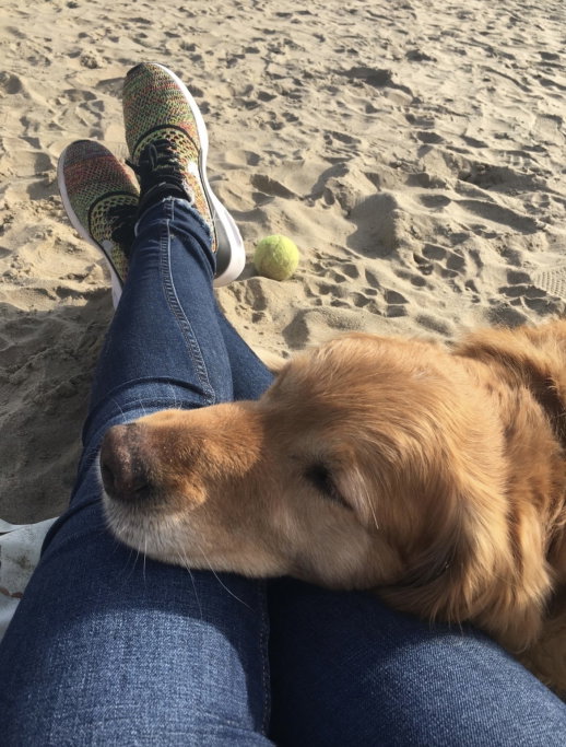 Sol, pet sitter in Amsterdam, photo 4