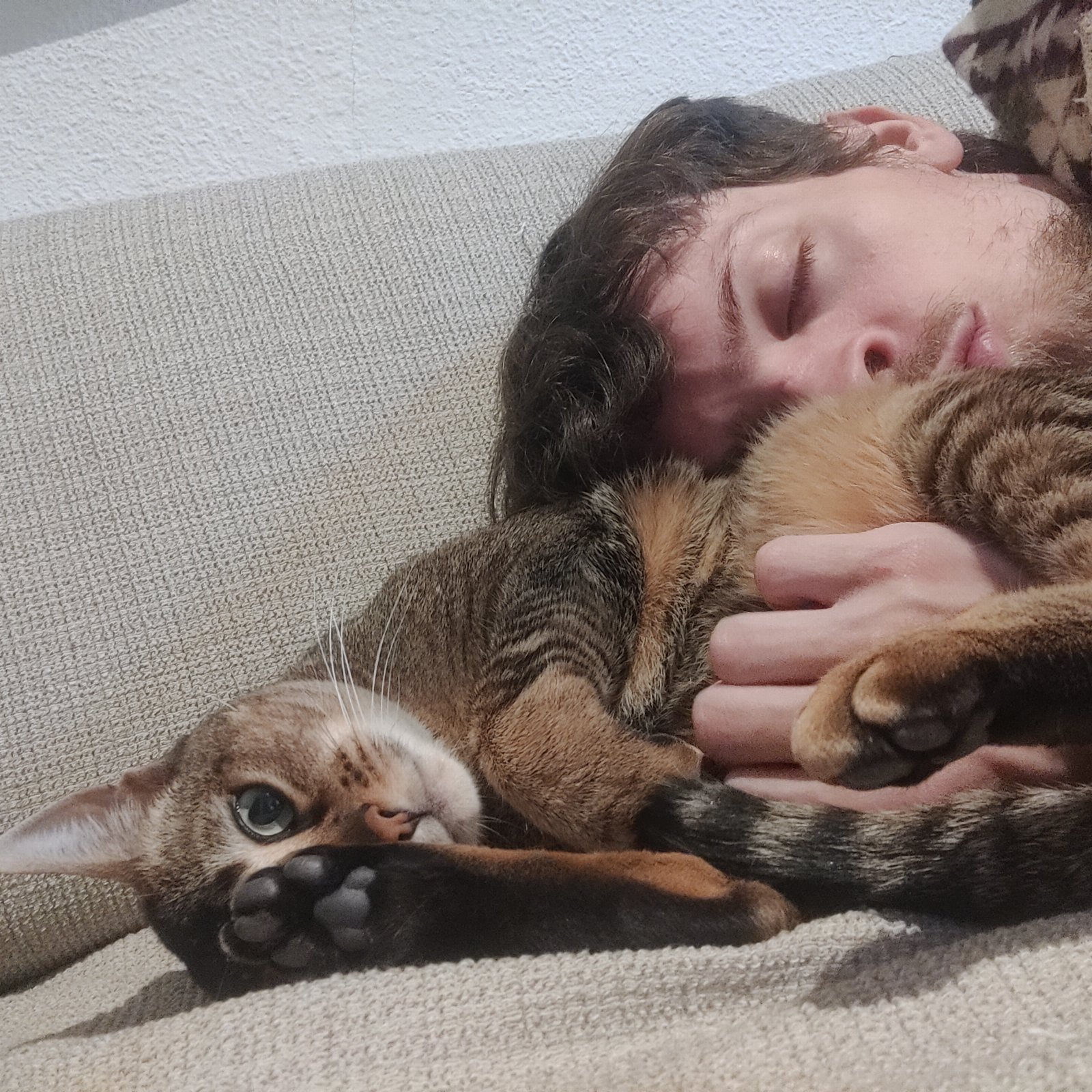 Michael, pet sitter in Geldrop, photo 3