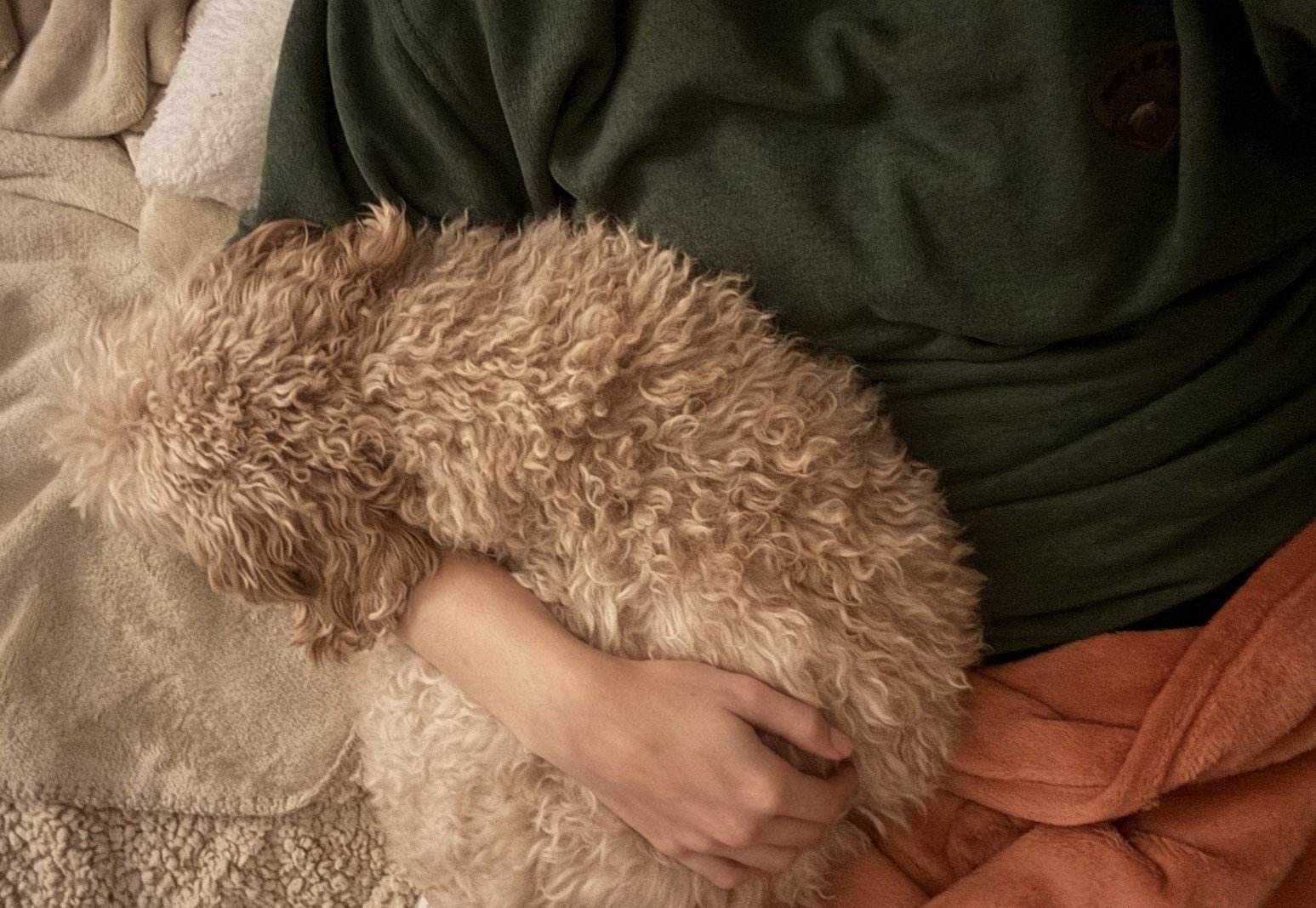 Maxime, pet sitter in 's-Gravenhage, photo 4