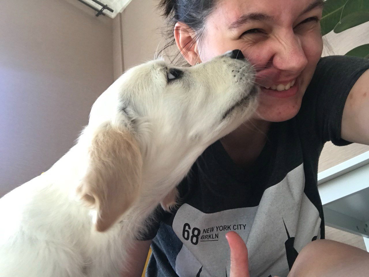 Alena, pet sitter in Amsterdam, photo 3