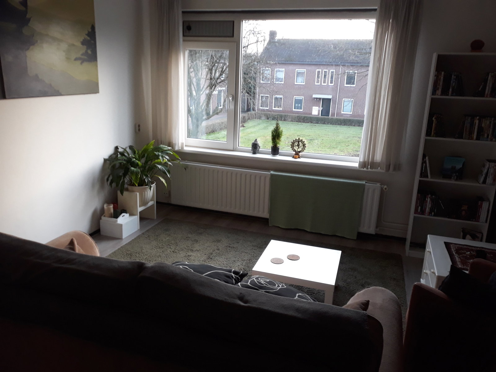 Ludo, pet sitter in Ulvenhout, photo 3