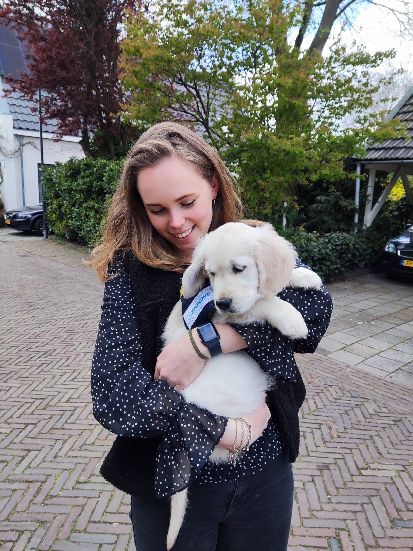 Tessi & Bart, dierenoppas in Breda, foto 3