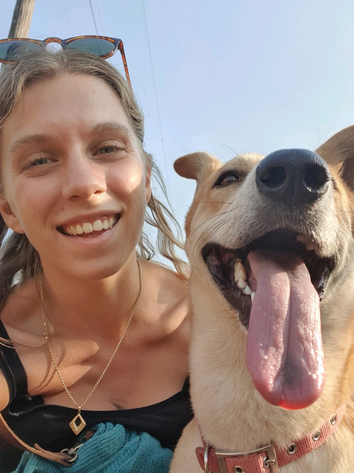 Nanouk, pet sitter in Weesp, photo 5