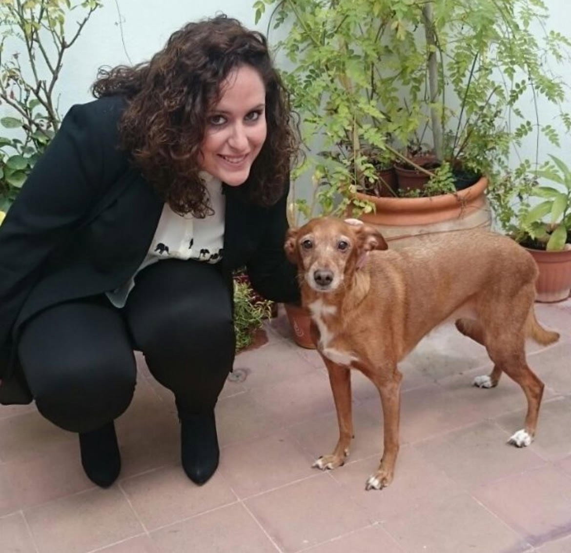 Lourdes, pet sitter in 's-Gravenhage, photo 5