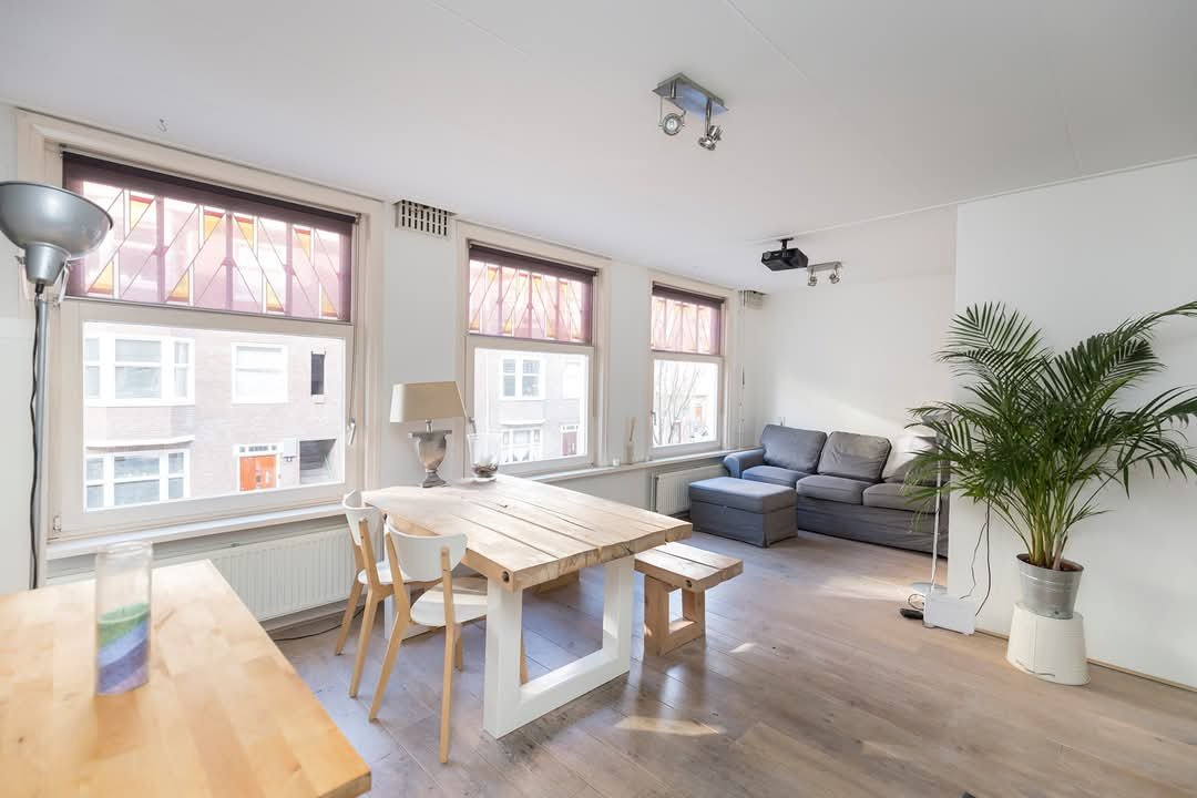 Kira, dierenoppas in Amsterdam, foto 3