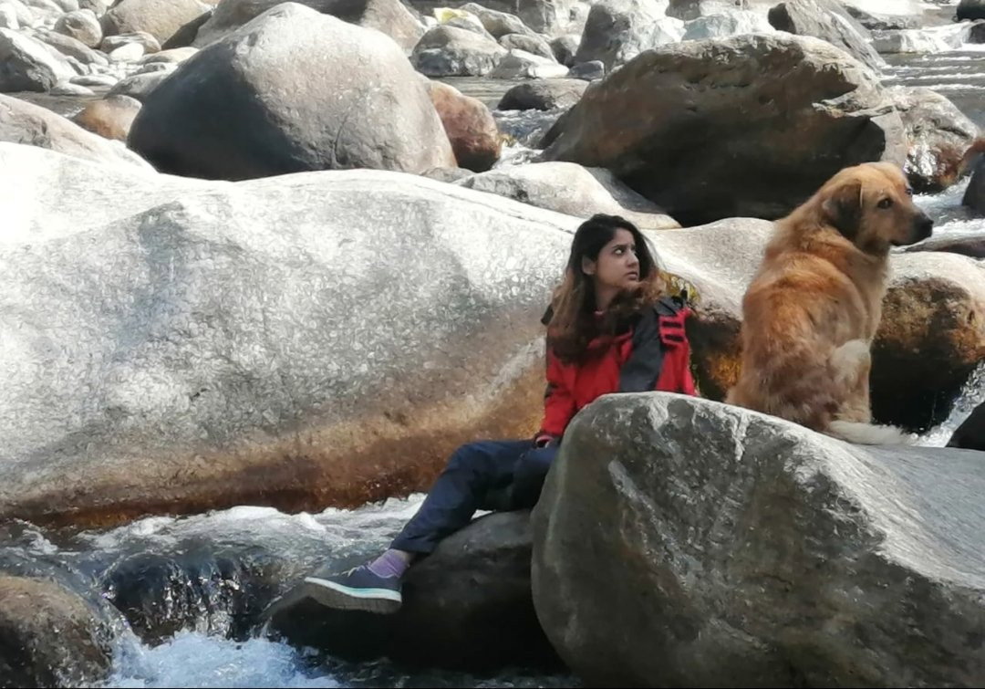 ragini, pet sitter in 's-Gravenhage, photo 1
