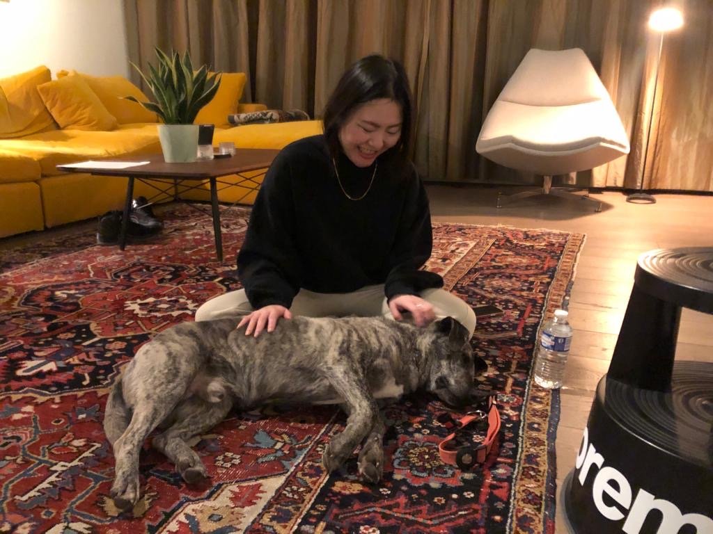 Asako, pet sitter in Delft, photo 1