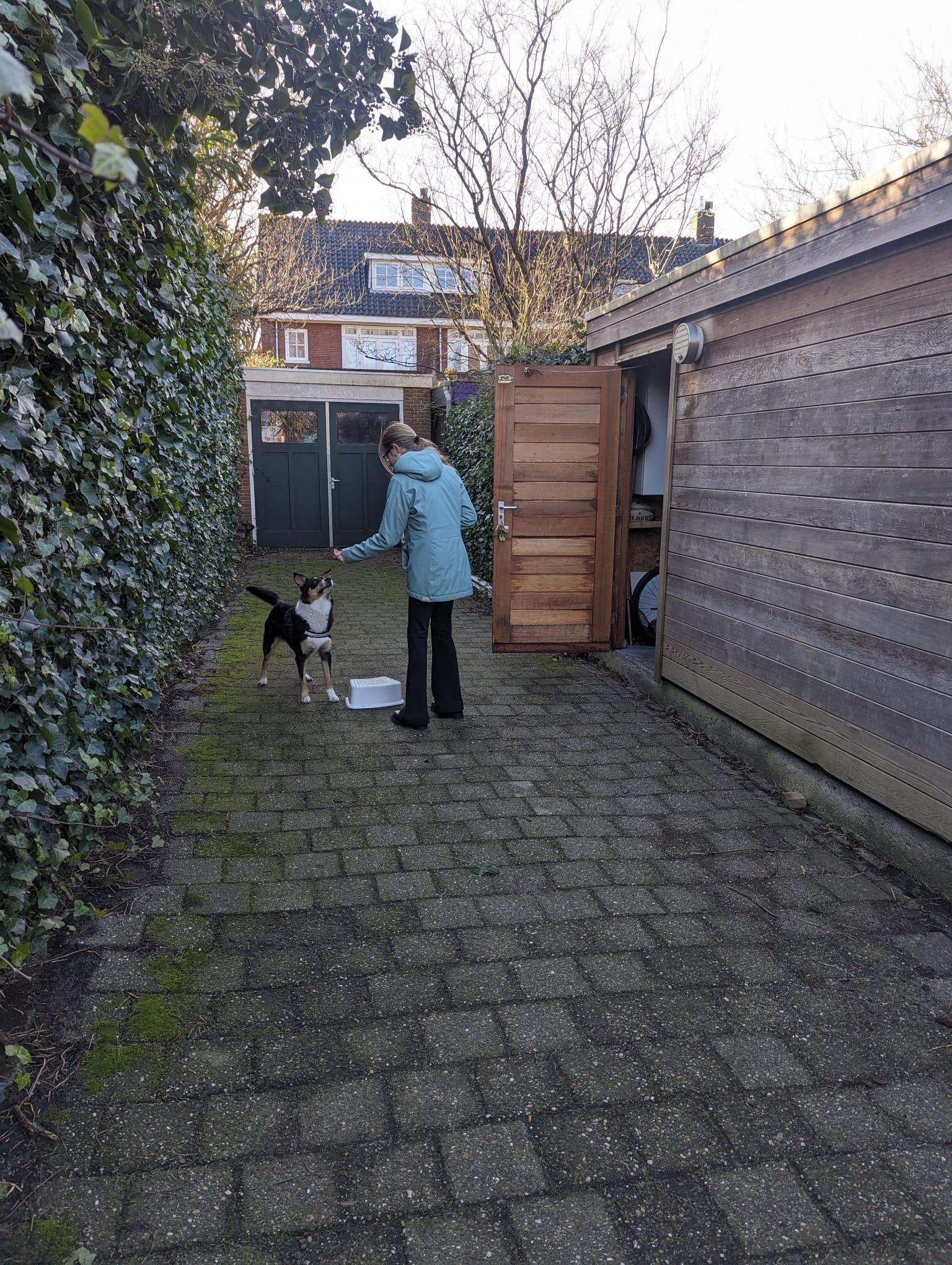Noor, pet sitter in Sassenheim, photo 3
