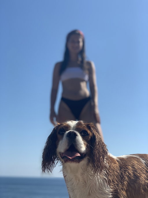Iva, pet sitter in Amsterdam , photo 2