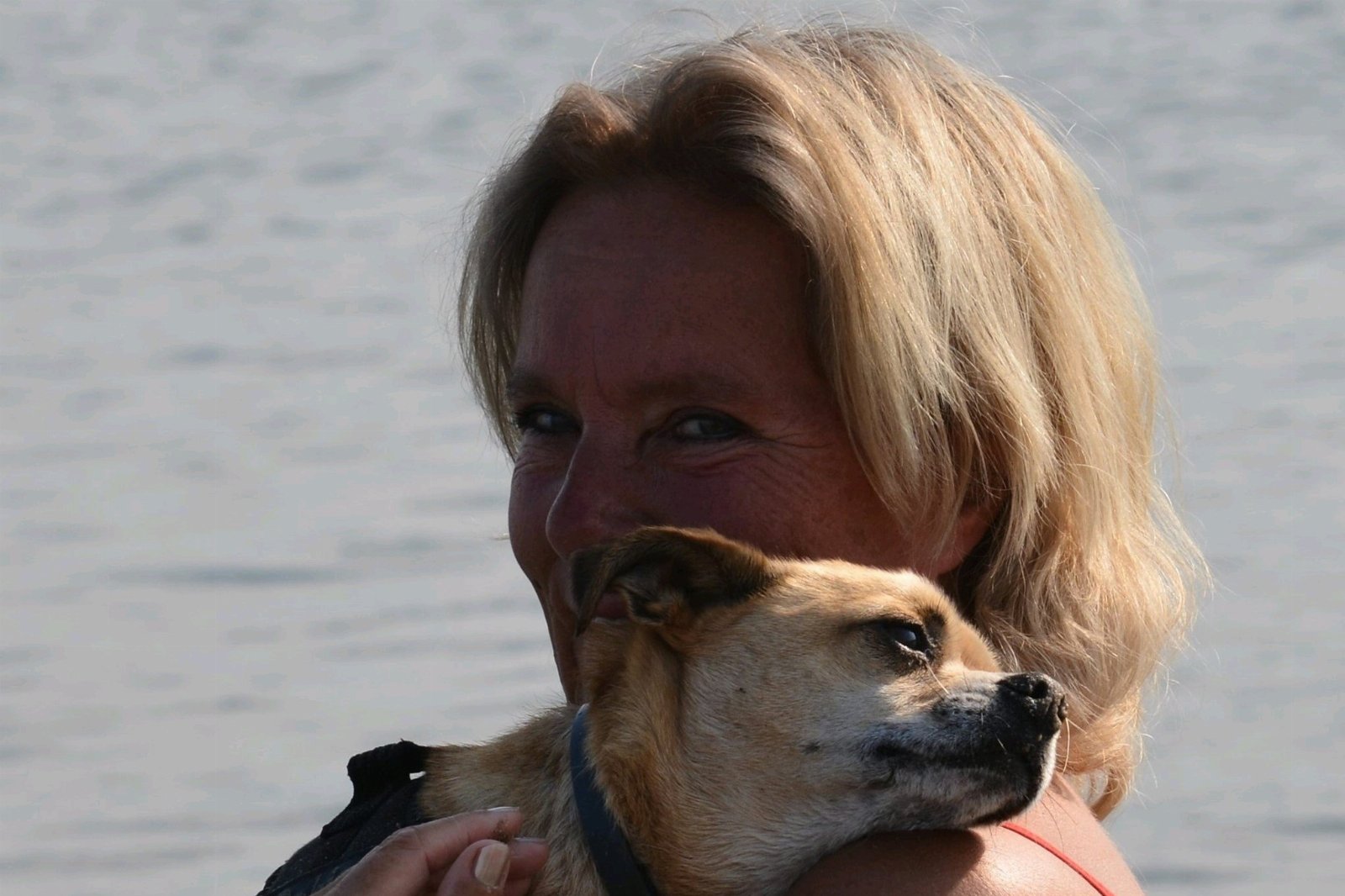Wilma, dierenoppas in Echteld, foto 5