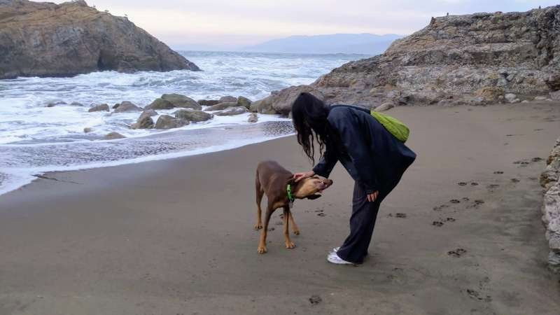 Ellen X, pet sitter in Amsterdam, photo 1
