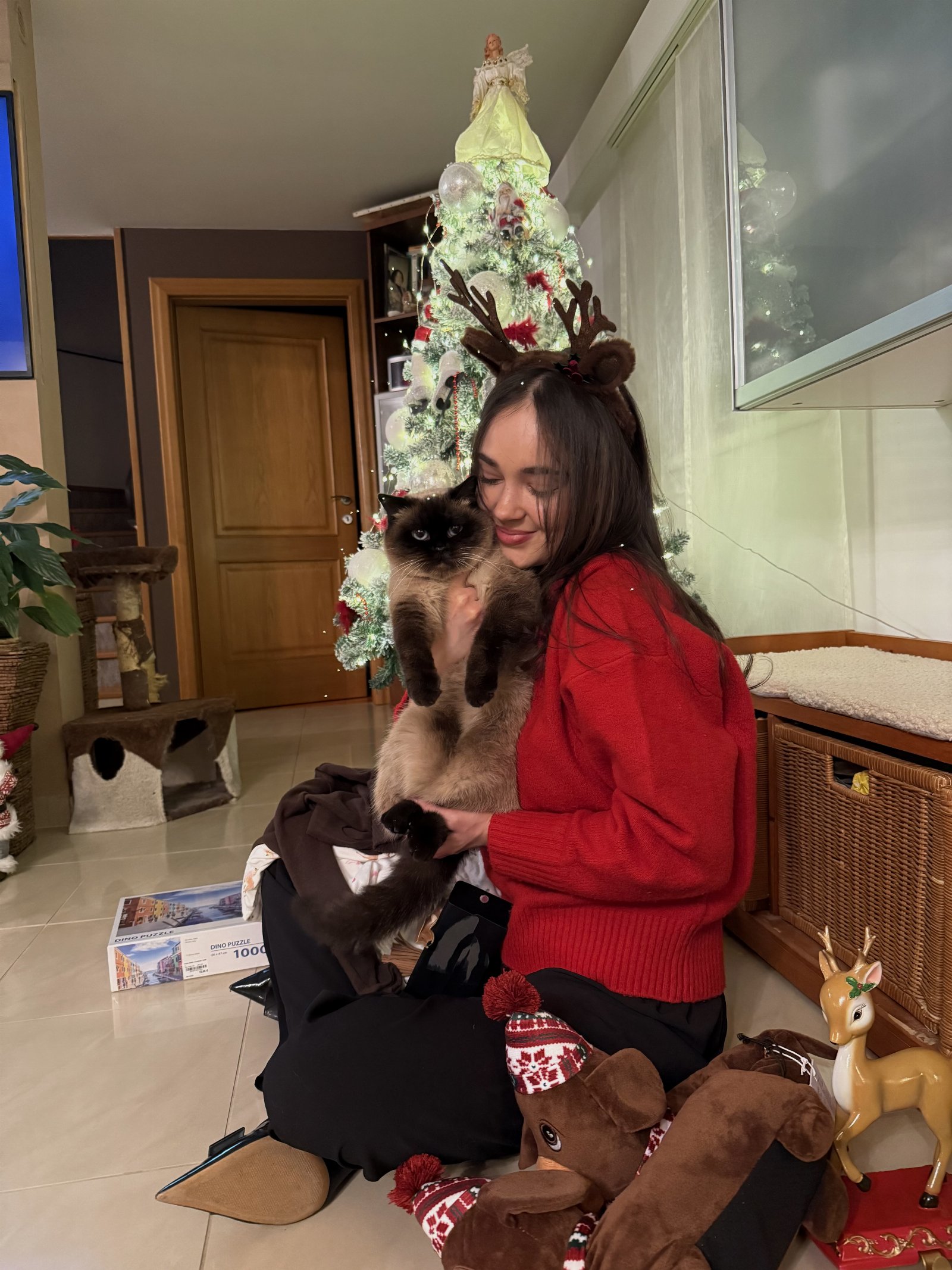 Stella, pet sitter in 's-Gravenhage, photo 1