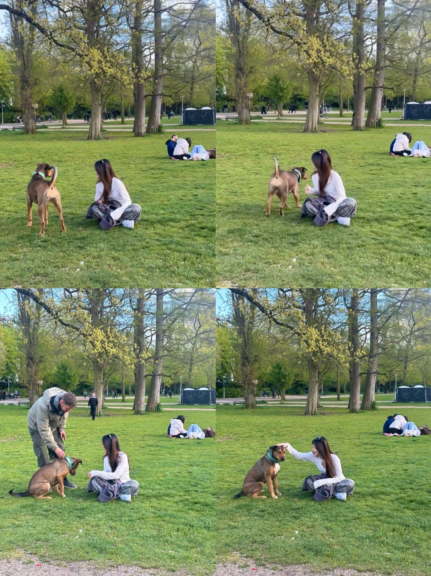 Mia, pet sitter in Amsterdam, photo 3
