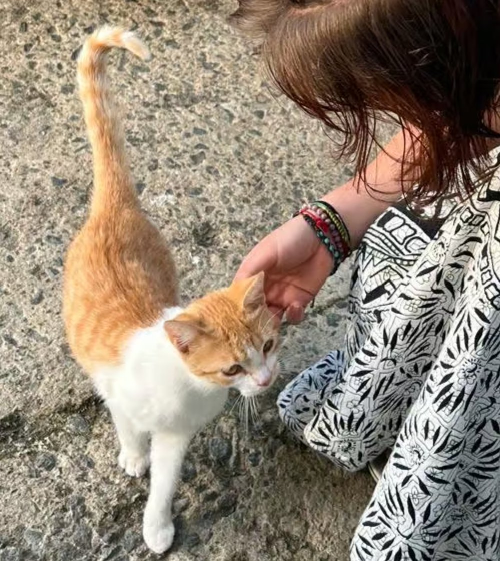 Emma, pet sitter in Breda, photo 2