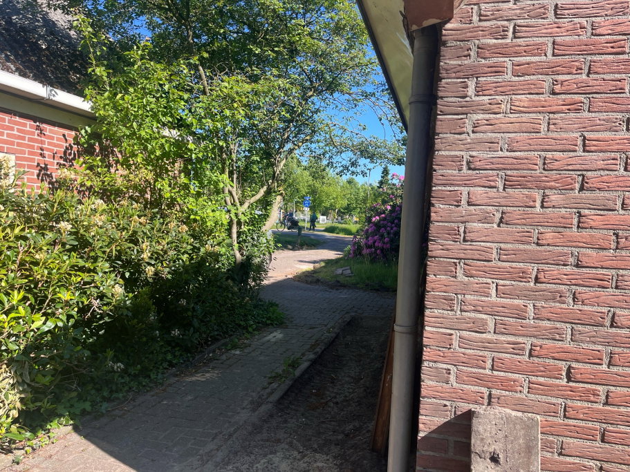 Mirjam, dierenoppas in Noordscheschut, foto 5