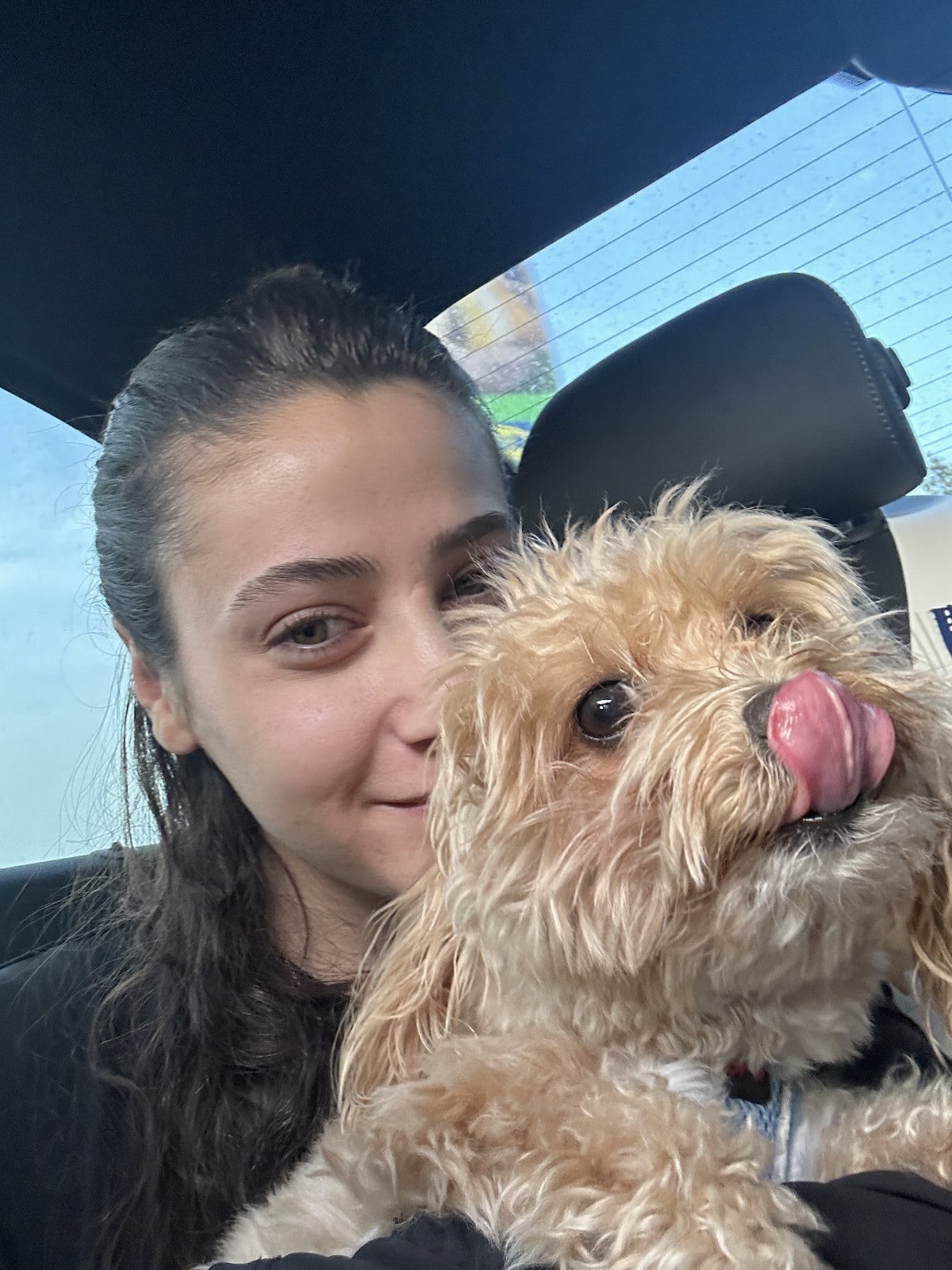 Tuana, pet sitter in Maastricht, photo 2