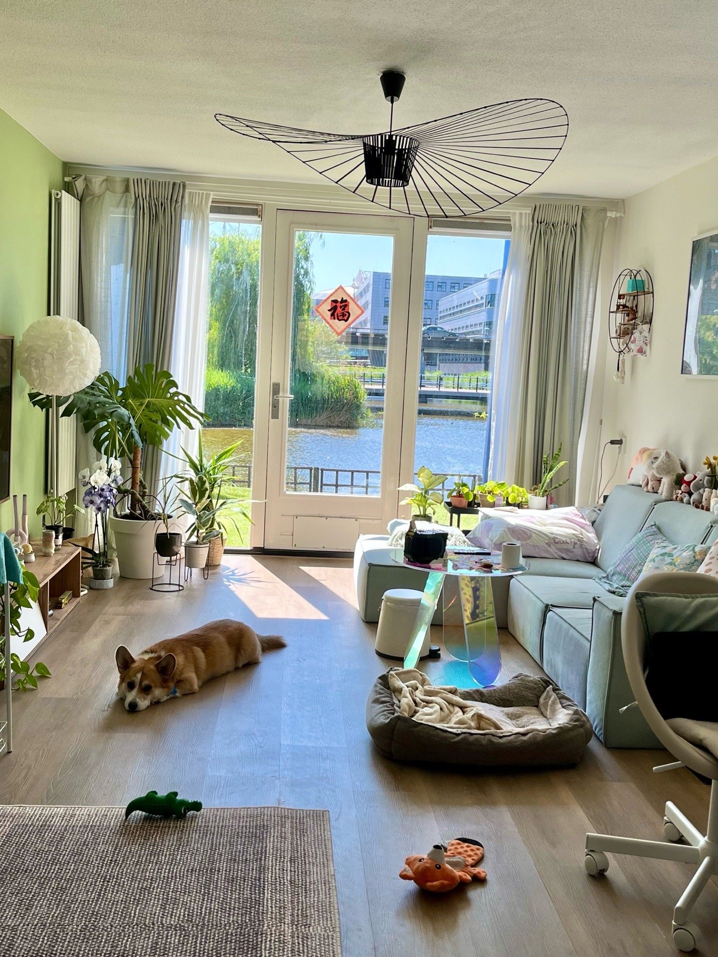 Jingyi (Matilda), pet sitter in Amsterdam, photo 3