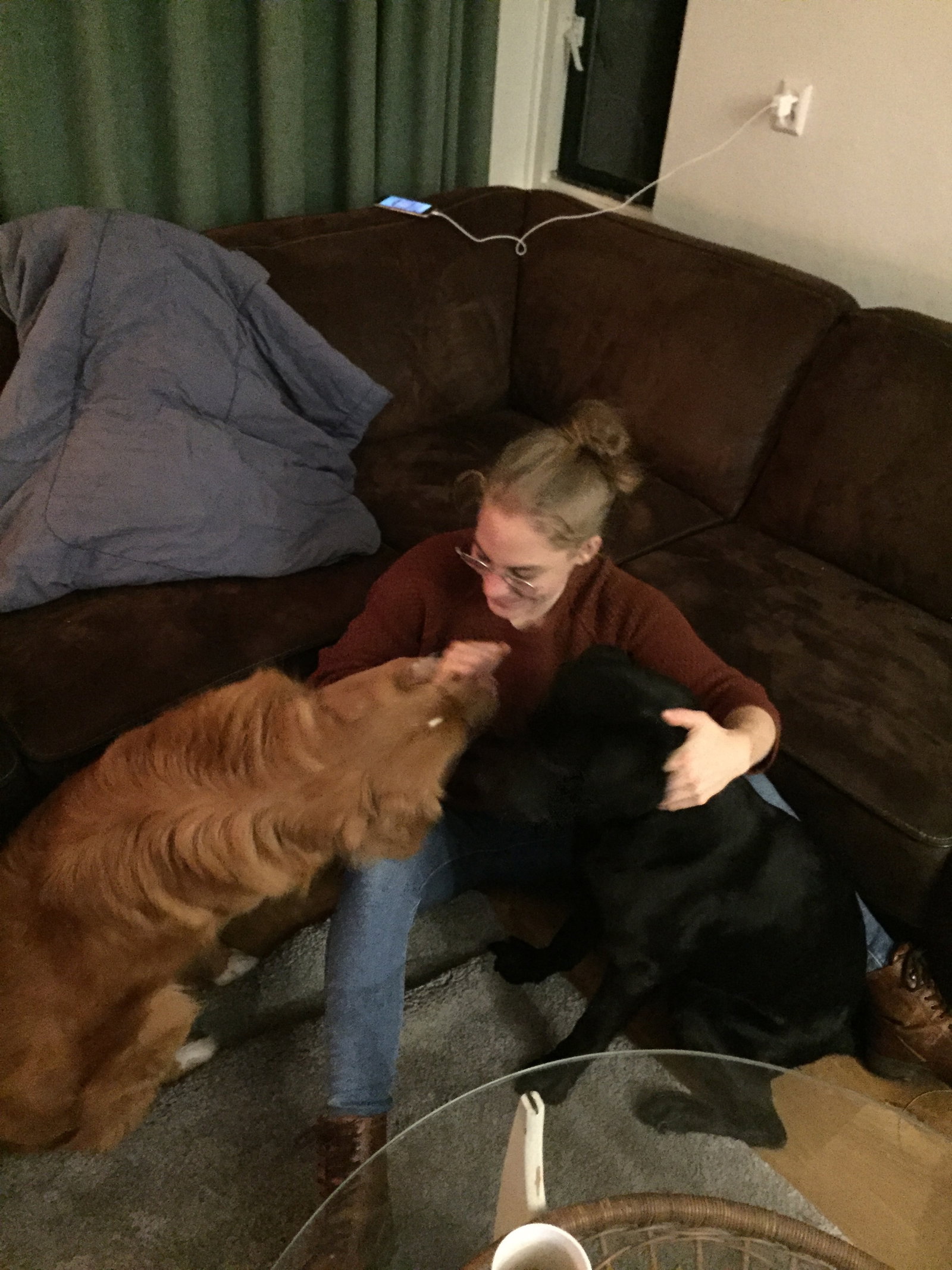 Mieke, pet sitter in Ede, photo 2