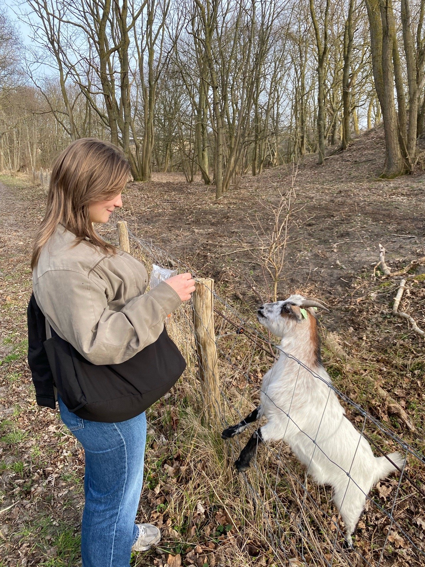 Liselotta, pet sitter in Rotterdam, photo 4