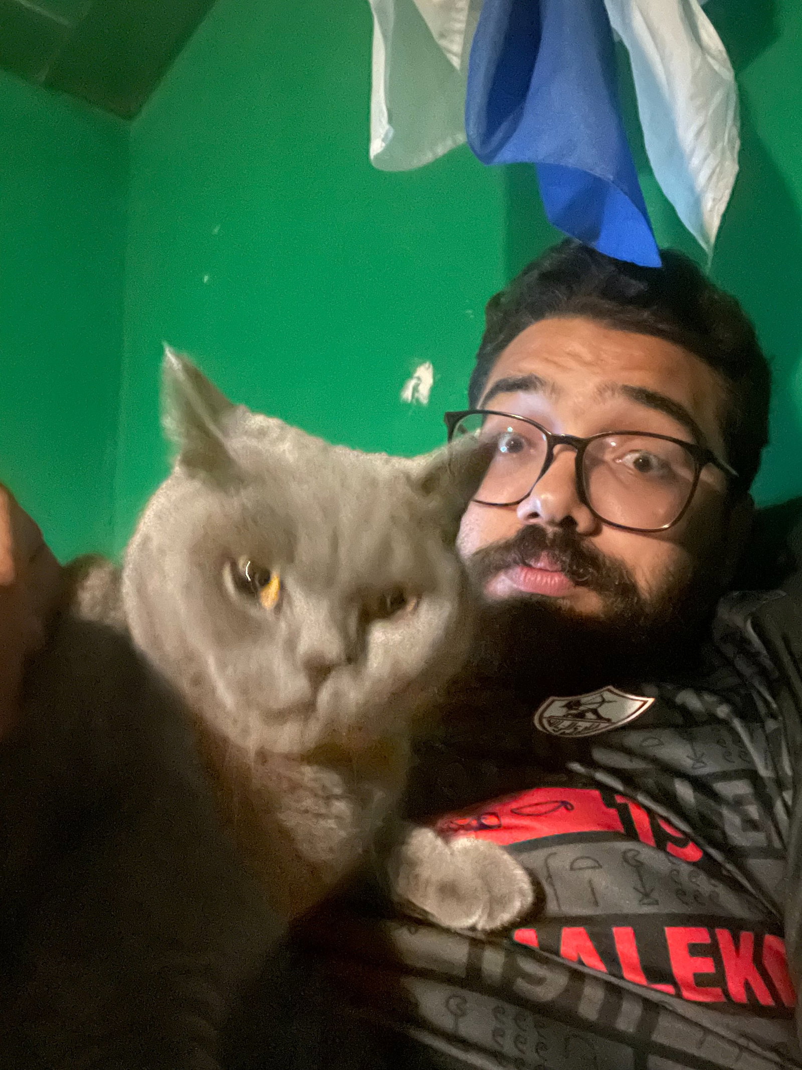 Hassan, pet sitter in Rotterdam, photo 5