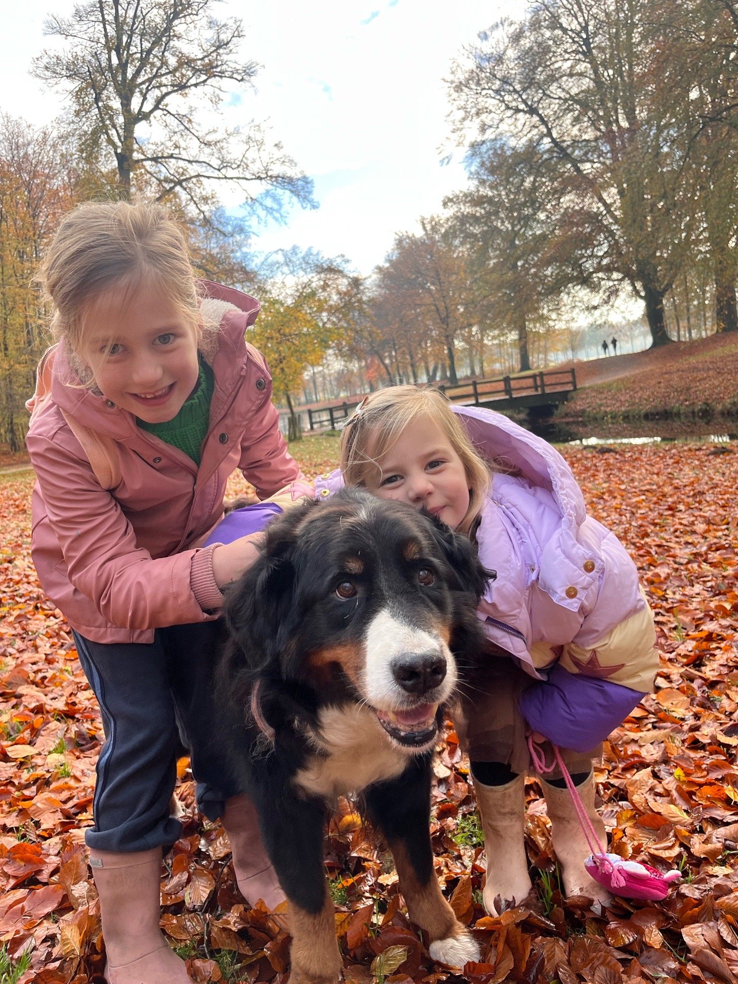 Maury, pet sitter in Eemnes, photo 1