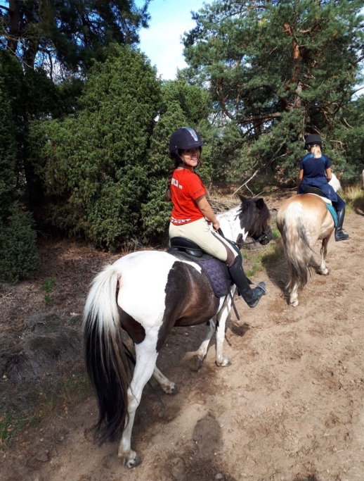 Luna, pet sitter in Apeldoorn, photo 3