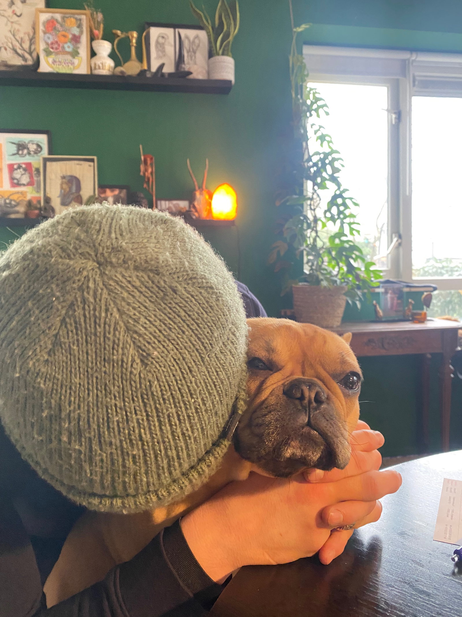 Kim, pet sitter in Zandvoort, photo 5