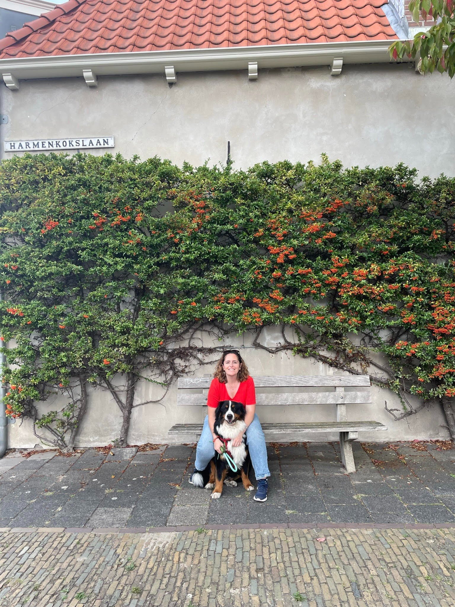 Lourdes, pet sitter in 's-Gravenhage, photo 1