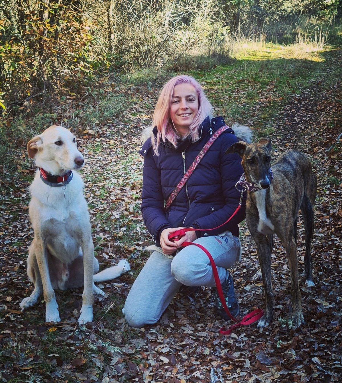 Julia, pet sitter in 's-Gravenhage, photo 3