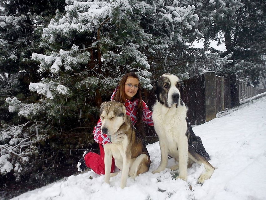 Katarina, pet sitter in Hilversum, photo 1