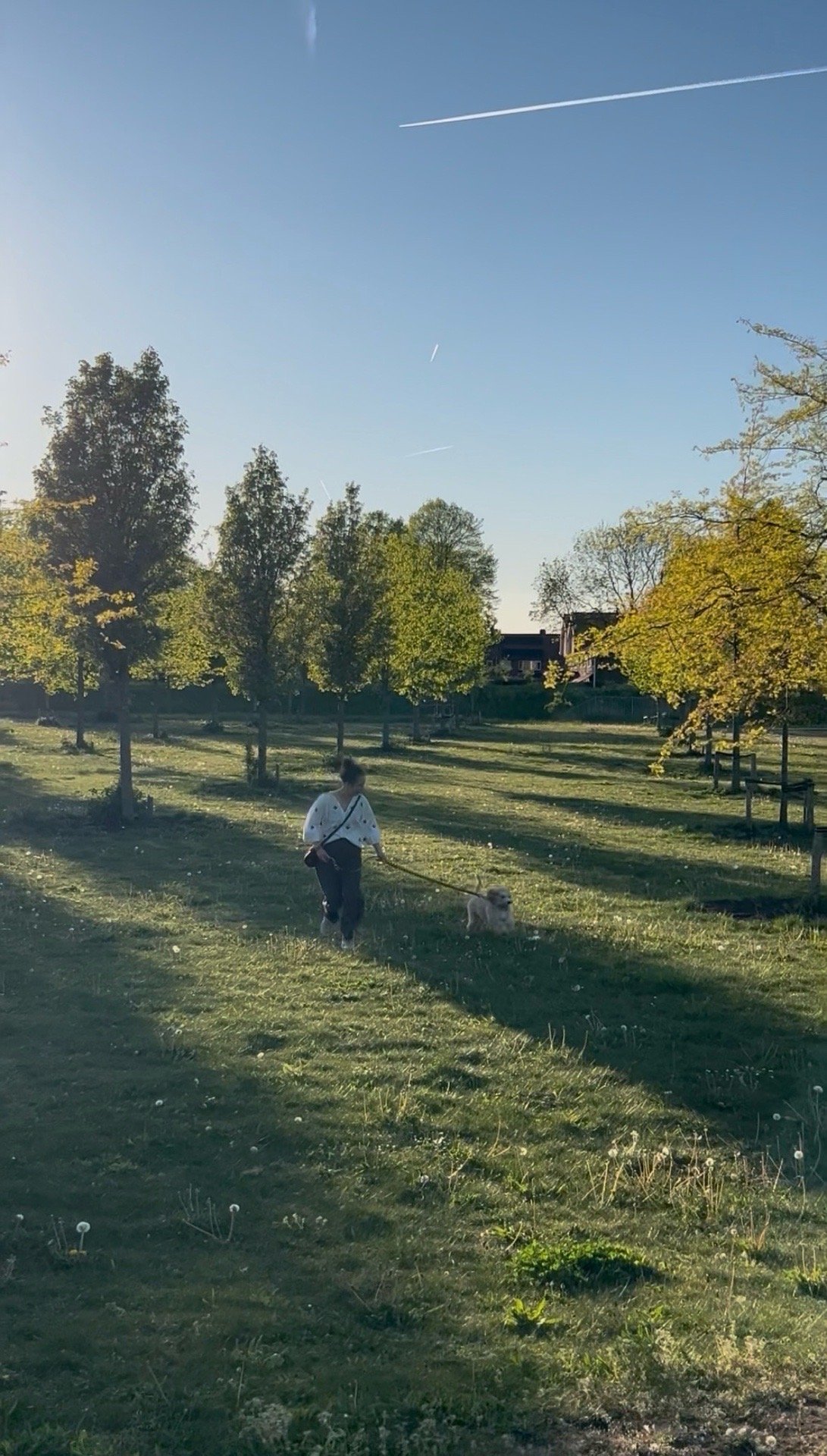 Margo, pet sitter in Bergschenhoek, photo 1