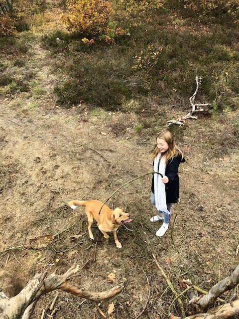 Merel, pet sitter in Eindhoven, photo 1